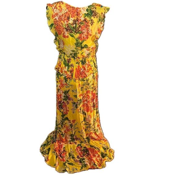 Anthropologie Plenty by Tracy Reese Silk Floral Garden Party Maxi Dress Sz S - Picture 4 of 6